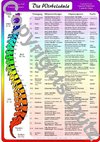 Wirbelsäulenzonen Übersichtskarte
