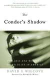 The Condor's Shadow