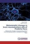 Metamorphic changes in brain neurosecretory cells of Prodenia litura