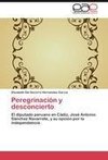 Peregrinación y desconcierto