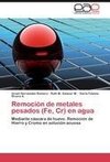 Remoción de metales pesados (Fe, Cr) en agua