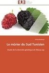 Le mûrier du Sud Tunisien