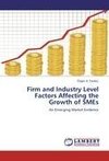 Firm and Industry Level Factors Affecting the Growth of SMEs