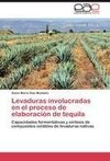 Levaduras involucradas en el proceso de elaboración de tequila