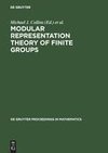 Modular Representation Theory of Finite Groups