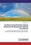 Surface Visualization Using Rational Bi-Quadratic Spline FunctionS