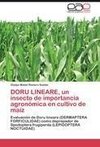 DORU LINEARE, un insecto de importancia agronómica en cultivo de maíz