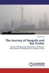 The Journey of Seagulls and Sea Turtles
