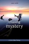 Chasing Mystery