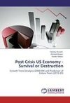 Post Crisis US Economy - Survival or Destruction