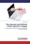 The Internet and Political Public Opinion in Egypt