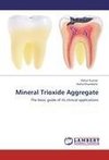 Mineral Trioxide Aggregate