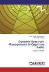 Dynamic Spectrum Management In Cognitive Radio