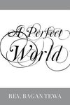 A Perfect World