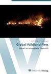 Global Wildland Fires