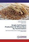 Single Cell Protein Production of Wheat Bran by Fermentation