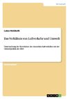 Das Verhältnis von Luftverkehr und Umwelt