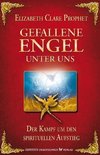 Gefallene Engel - Der Kampf um den spirituellen Aufstieg