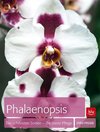 Phalaenopsis