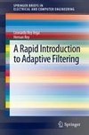 A Rapid Introduction to Adaptive Filtering