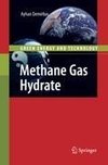 Methane Gas Hydrate