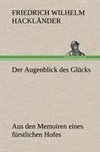 Der Augenblick des Glücks - Aus den Memoiren eines fürstlichen Hofes