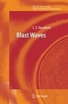 Blast Waves