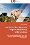 La colonisation des tissus de porc par Yersinia enterocolitica