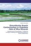 Groundwater Arsenic Contamination in Chakdaha - Role of Mica Minerals