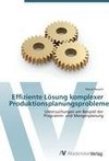 Effiziente Lösung komplexer Produktionsplanungsprobleme