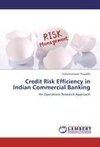 Credit Risk Efficiency in Indian Commercial Banking