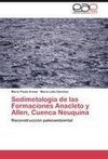 Sedimetología de las Formaciones Anacleto y Allen, Cuenca Neuquina