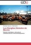 Los Ganglios Hemales de Bovino