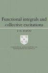 Functional Integrals and Collective Excitations