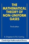 The Mathematical Theory of Non-Uniform Gases