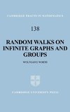 Random Walks on Infinite Graphs and Groups