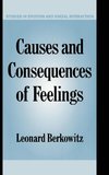 Causes and Consequences of Feelings