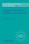 Singular Perturbations of Differential Operators