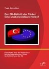 Der EU-Beitritt der Türkei: Eine unüberwindbare Hürde?