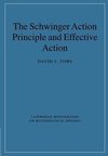 The Schwinger Action Principle and Effective Action