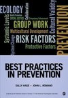 Hage, S: Best Practices in Prevention