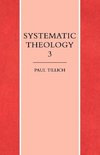 Systematic Theology Vol. 3