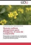 Nuevos cultivos oleaginosos para Patagonia: el caso de Lesquerella