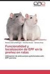 Funcionalidad y localización de EPF en la preñez en ratas