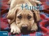 Hunde