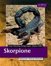 Skorpione