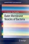 Outer Membrane Vesicles of Bacteria