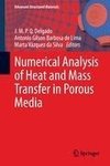 Numerical Analysis of Heat and Mass Transfer in Porous Media