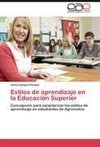 Estilos de aprendizaje en la Educación Superior