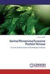 Serine/Threonine/Tyrosine Protein Kinase